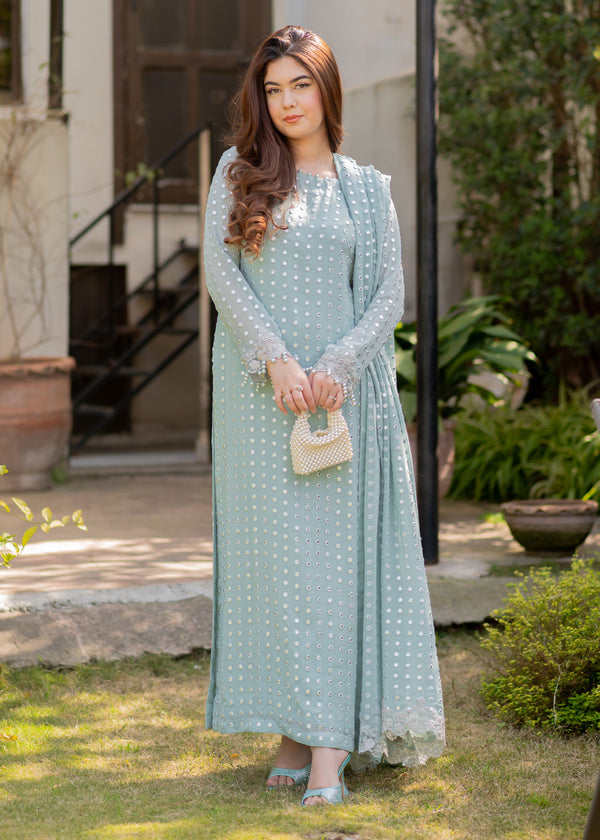 Rang E Haya Chiffon Fancy