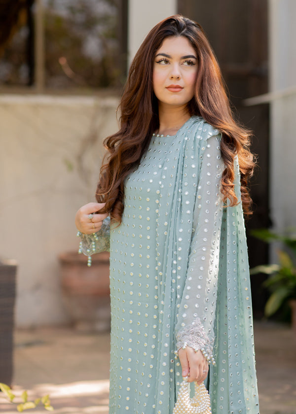 Rang E Haya Chiffon Fancy