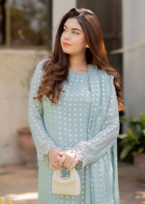 Rang E Haya Chiffon Fancy