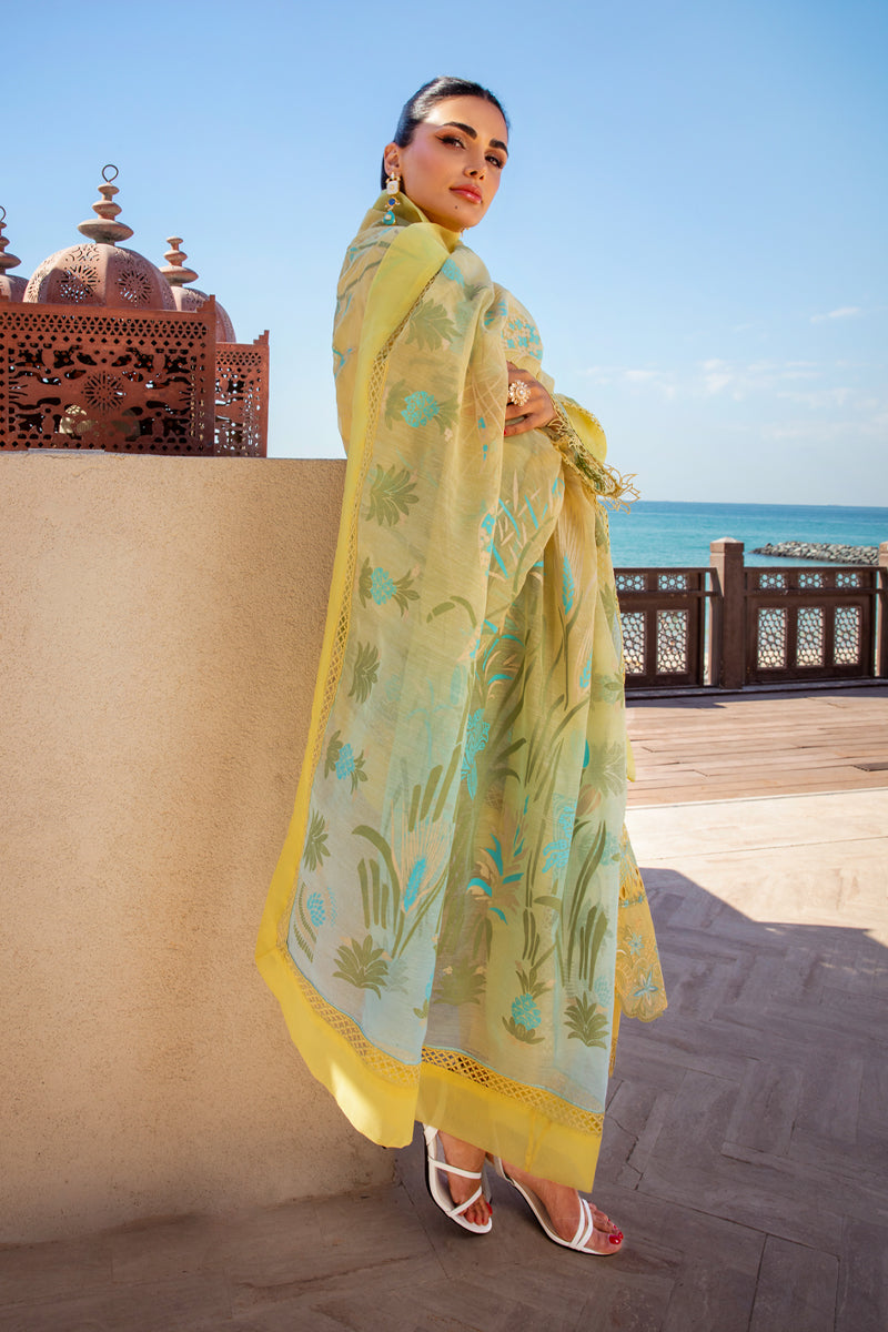 Rang Rasiya Lawn Fancy