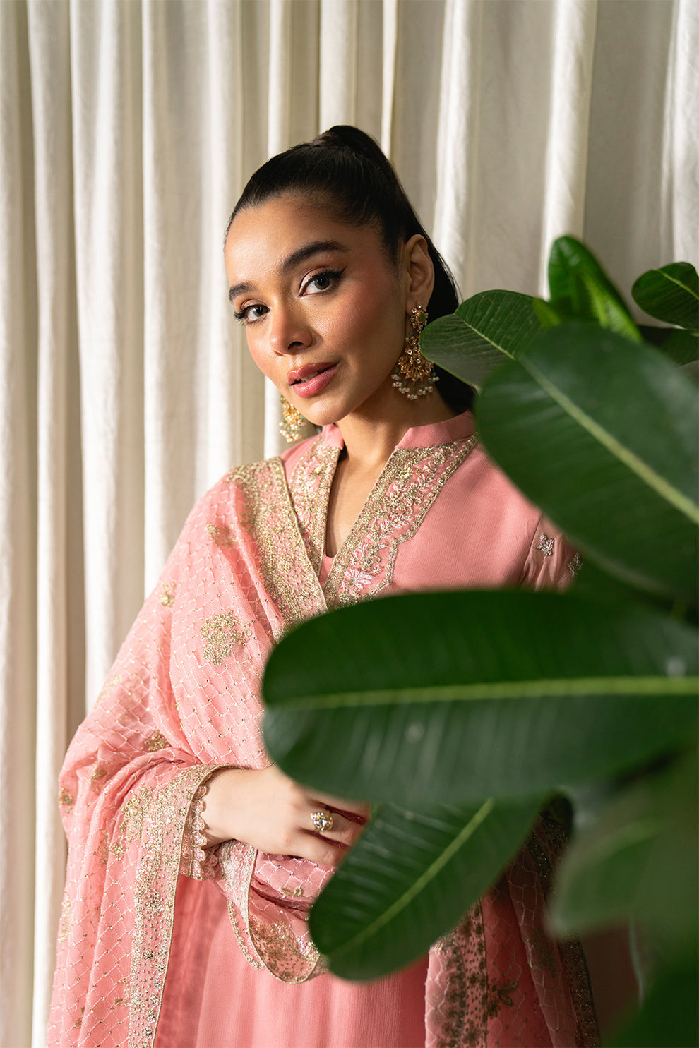 Neeshay Chiffon Fancy