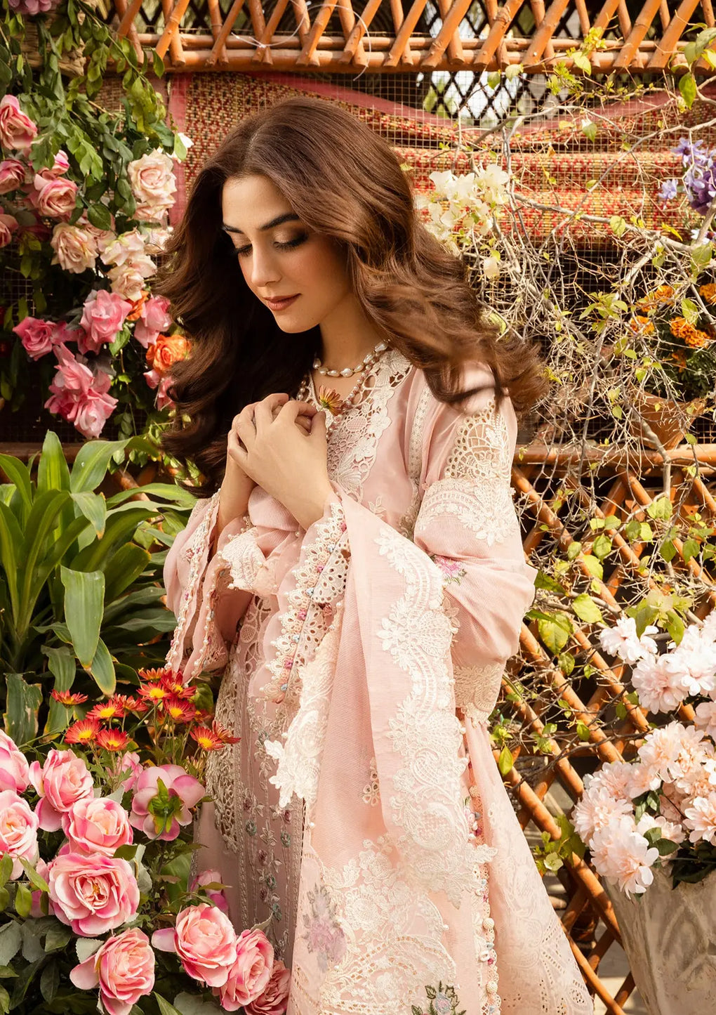 Elaf Cotton Fancy