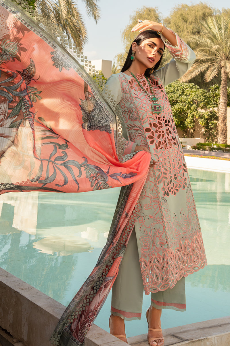 Rang Rasiya Lawn Fancy