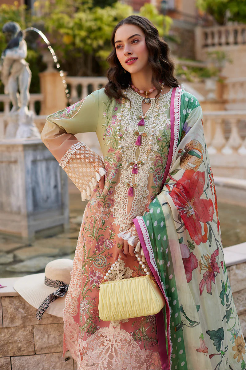 Mushq Lawn Fancy