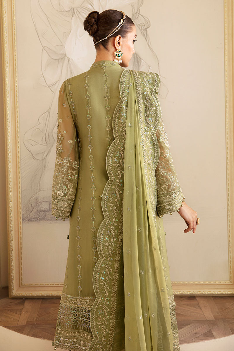 Gulaal Chiffon Fancy