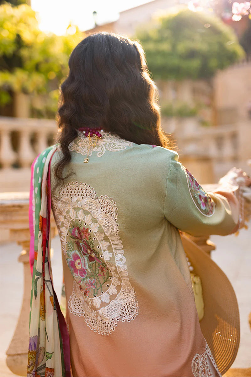 Mushq Lawn Fancy
