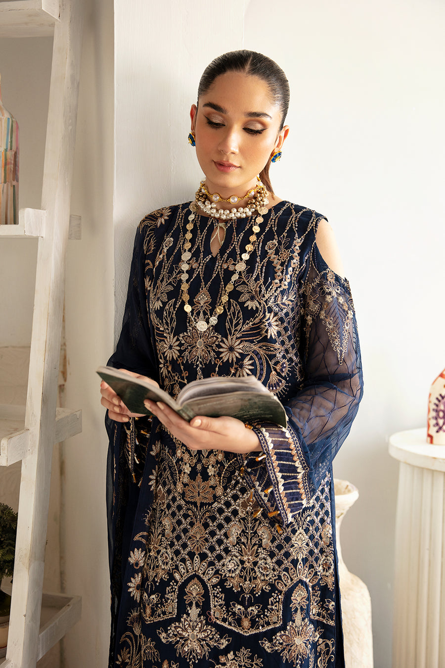 Ramsha Chiffon Fancy