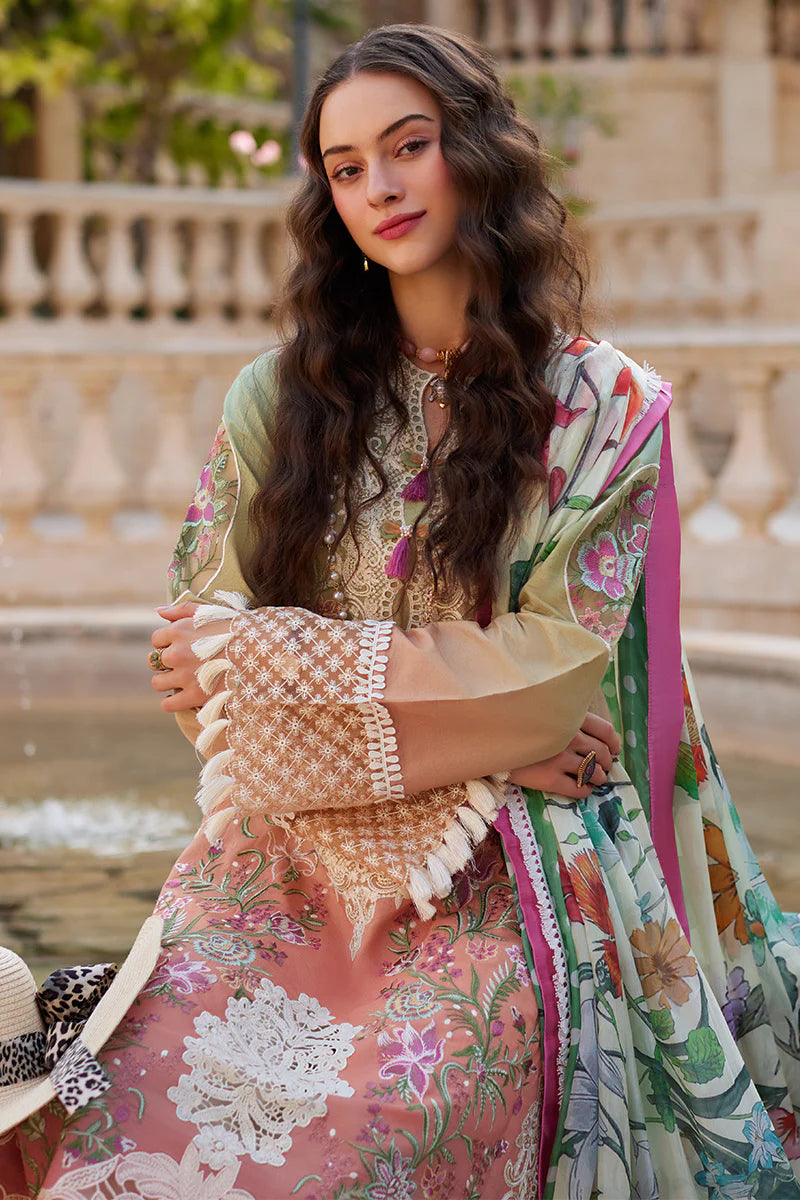 Mushq Lawn Fancy