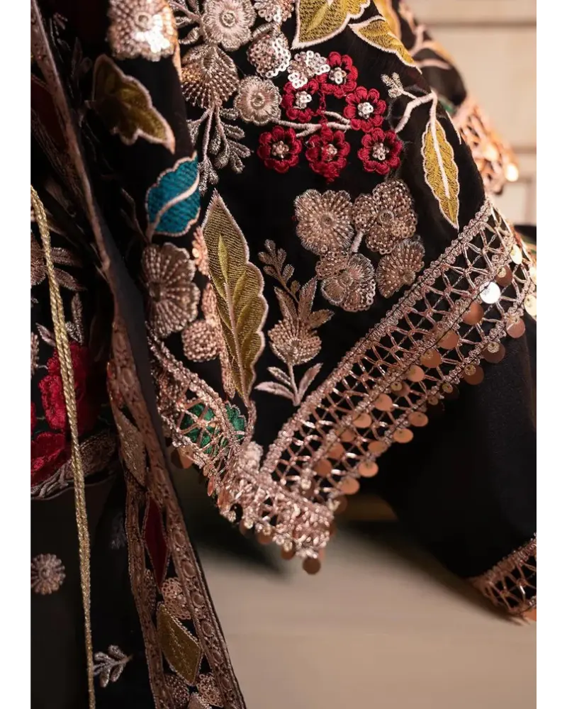 Rang Rasiya Chiffon Fancy