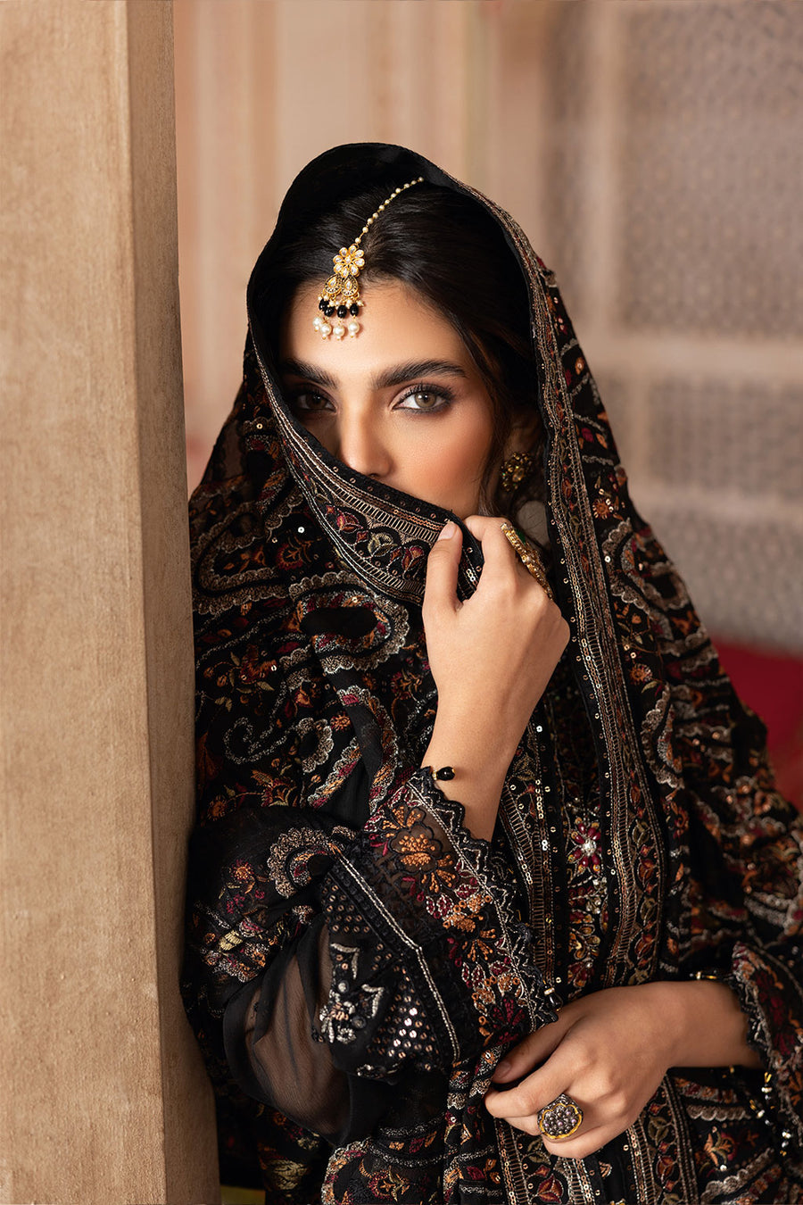 Ramsha Chiffon Fancy