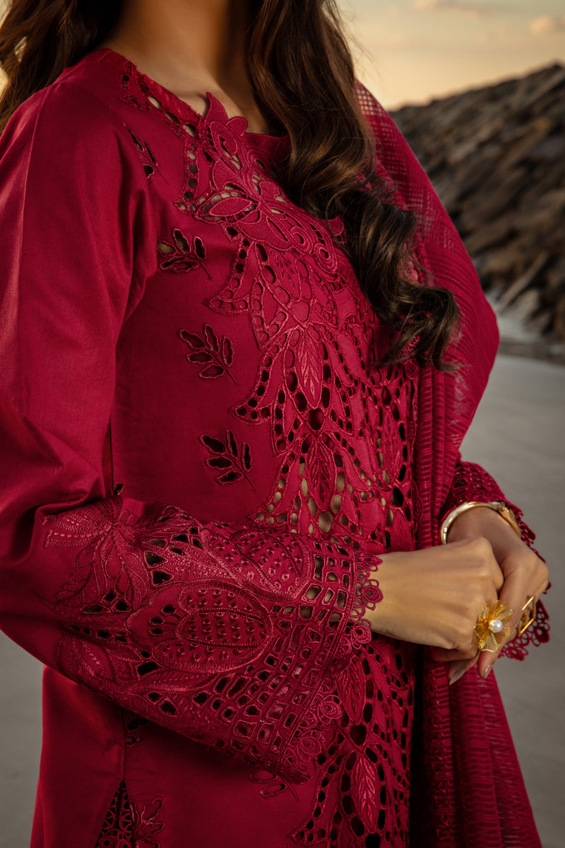 Rang Rasiya Lawn Fancy