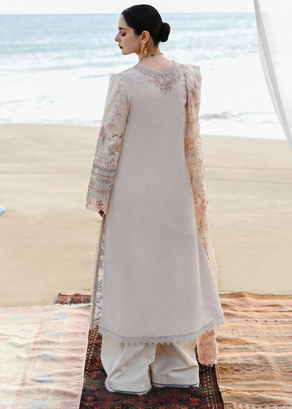 Qalamkar Chikankari Fancy