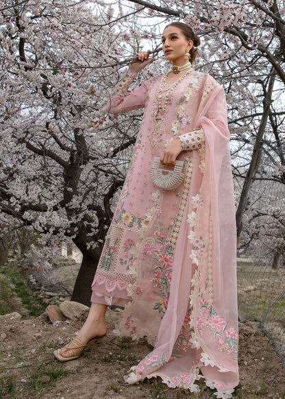 Crimson Lawn Fancy