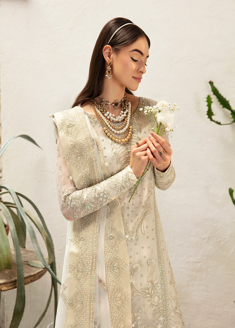 Gulaal Chiffon Fancy