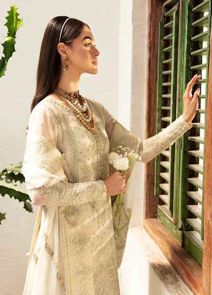 Gulaal Chiffon Fancy