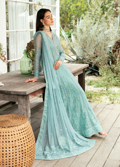 Gulaal Chiffon Fancy