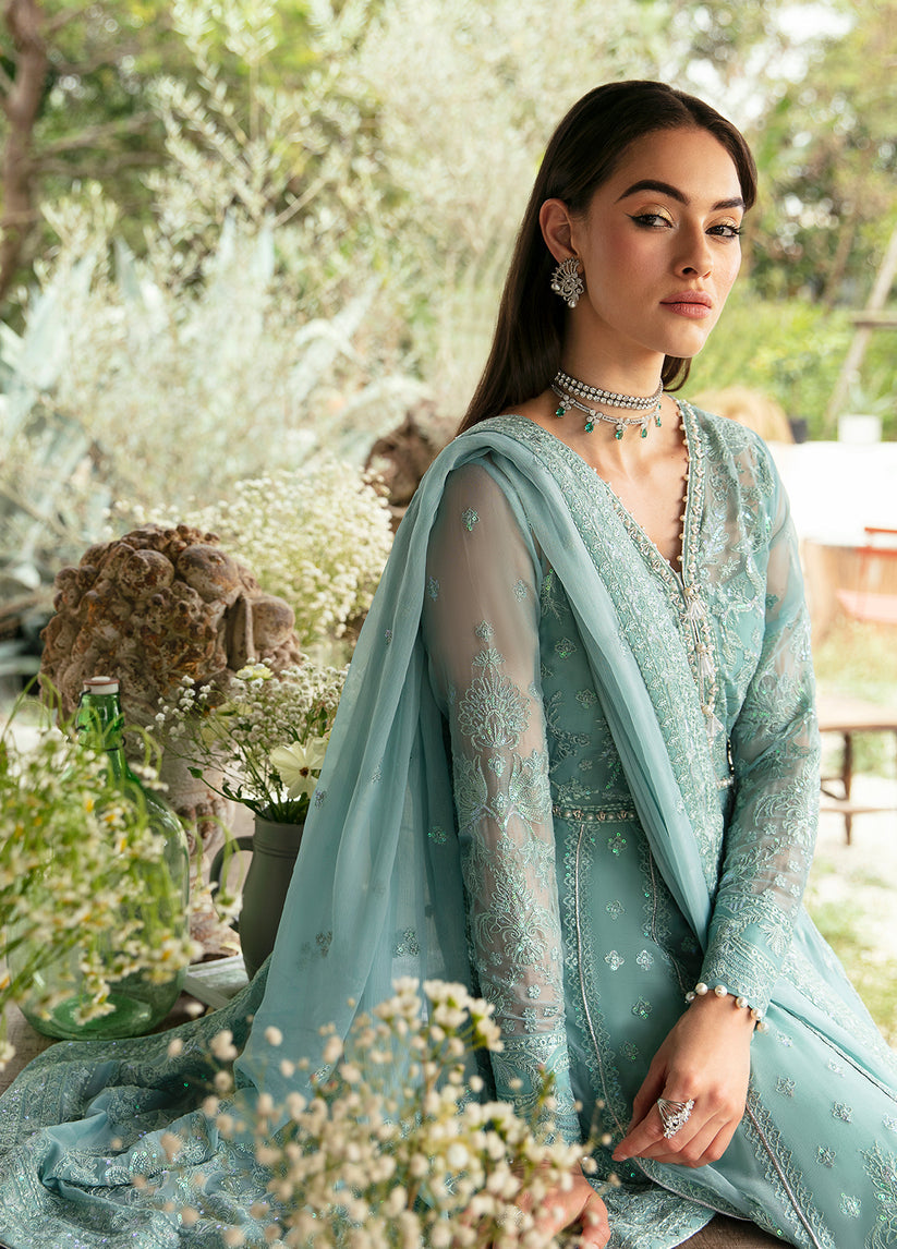 Gulaal Chiffon Fancy