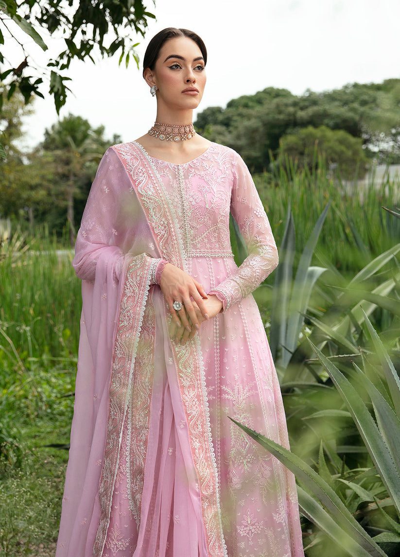 Gulaal Chiffon Fancy