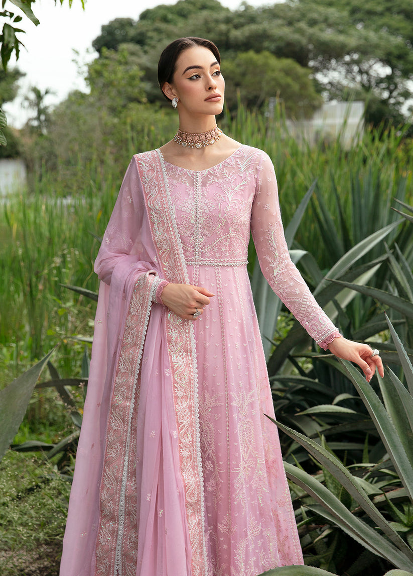 Gulaal Chiffon Fancy