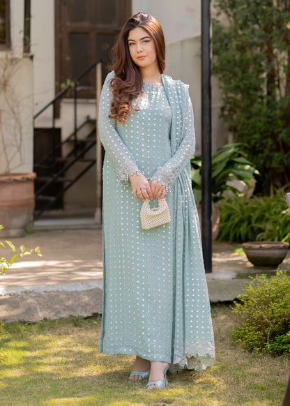 Rang E Haya Chiffon Fancy