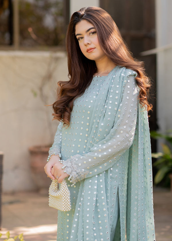 Rang E Haya Chiffon Fancy