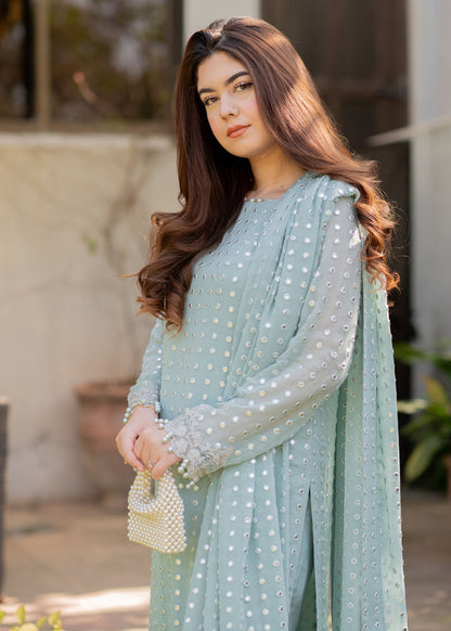 Rang E Haya Chiffon Fancy