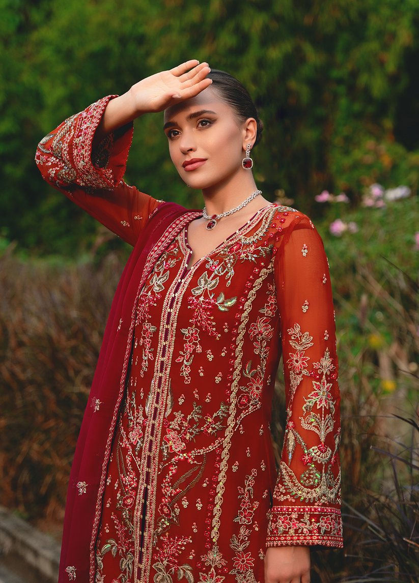 Gulaal Chiffon Fancy