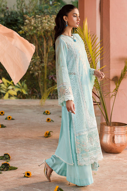 Motifz Chikankari Fancy