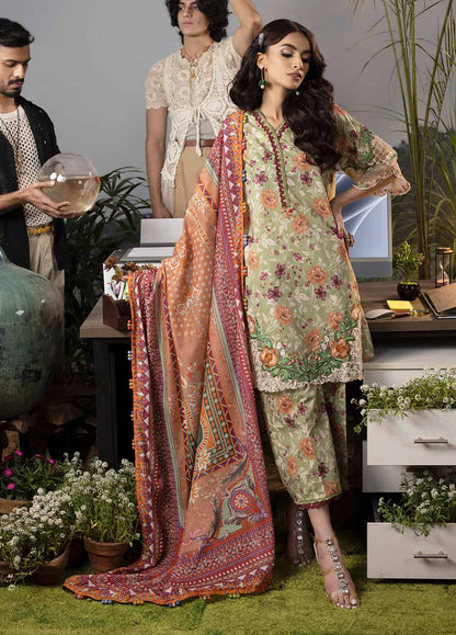 Sahane Lawn Fancy