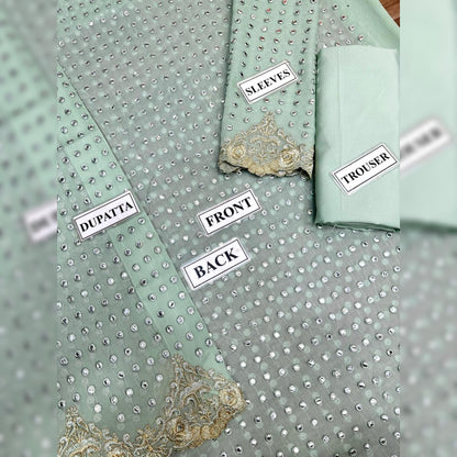Rang E Haya Chiffon Fancy
