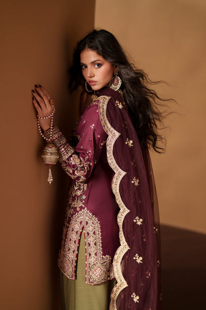 Ethnic Raw Silk Fancy