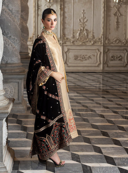 Zainab Chottani Velvet Fancy