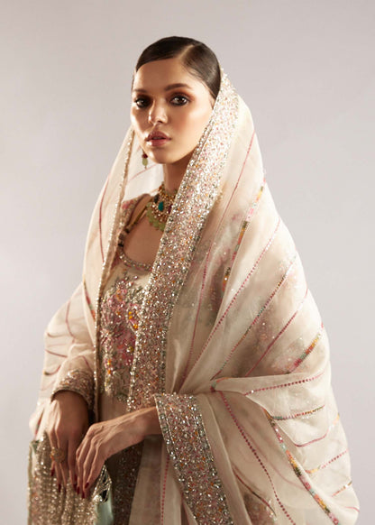 Hussain Rehar Organza Fancy