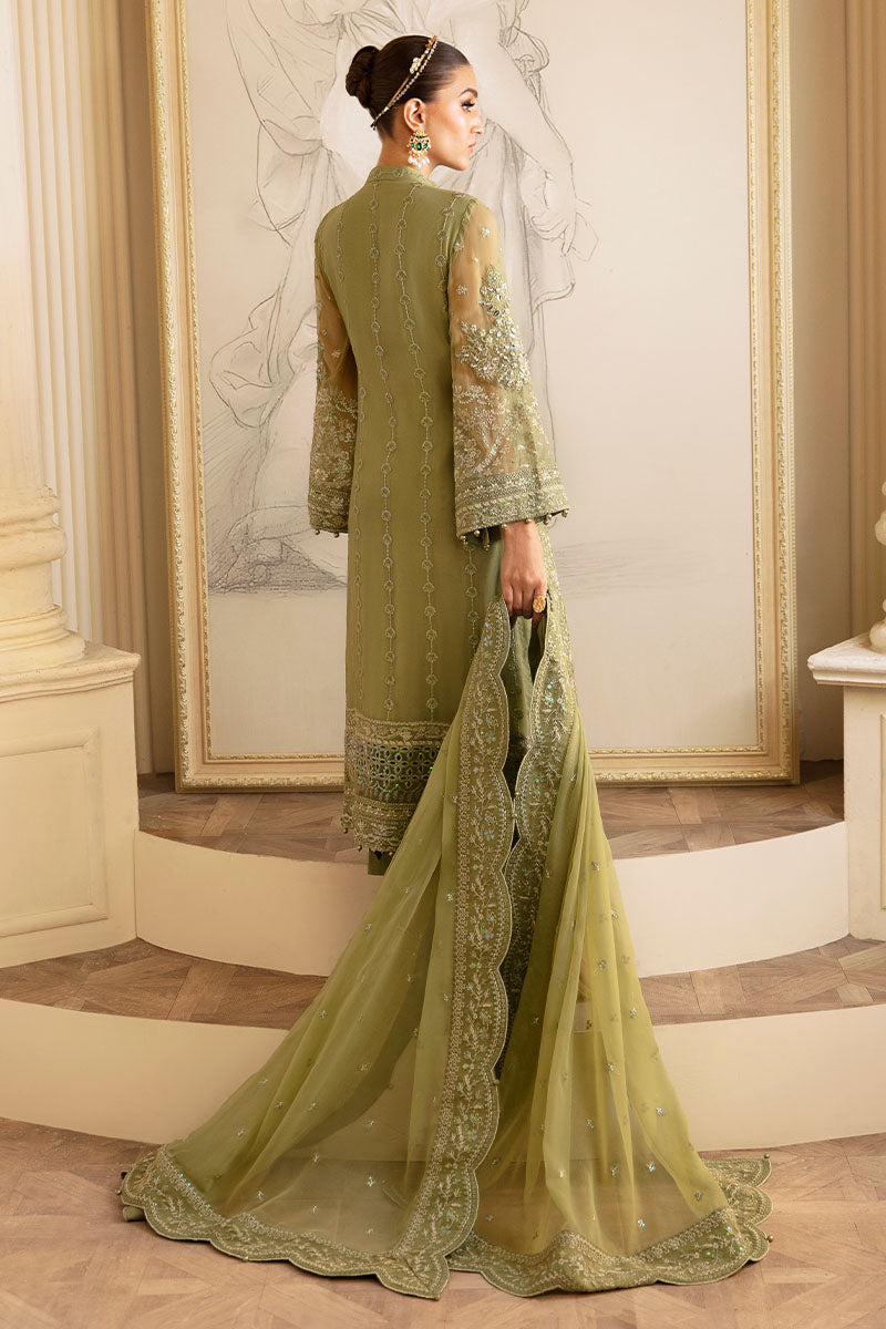 Gulaal Chiffon Fancy