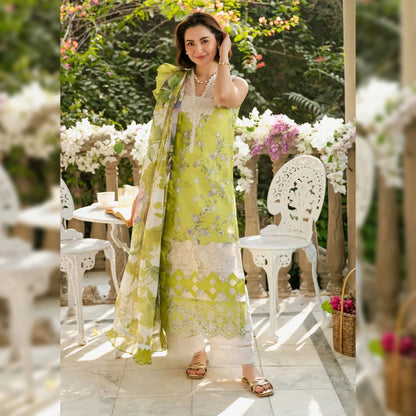 Asifa & Nabeel Lawn Fancy