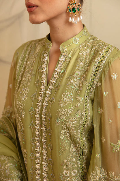 Gulaal Chiffon Fancy