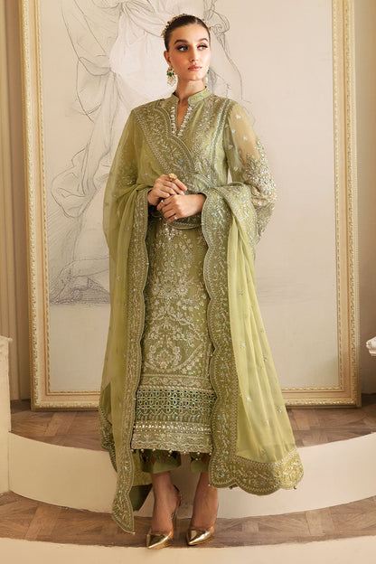 Gulaal Chiffon Fancy