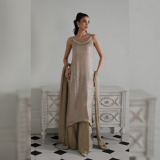 Zaib Chiffon Fancy