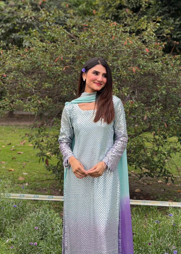 Chiffon Fancy