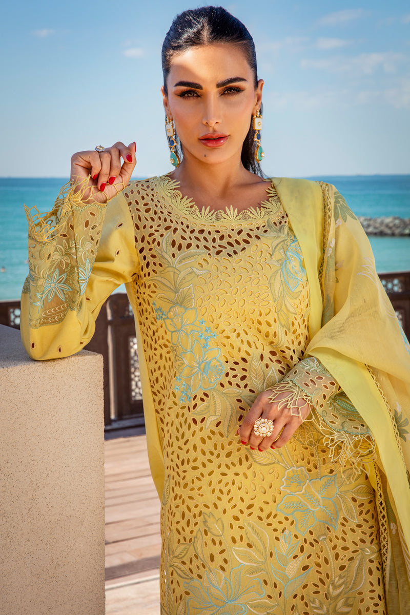 Rang Rasiya Lawn Fancy