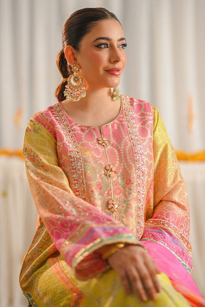 Ansab Jahangir Lawn Fancy