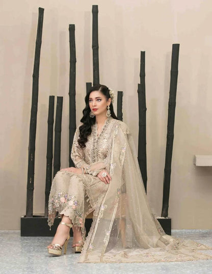 Maria B Organza Fancy