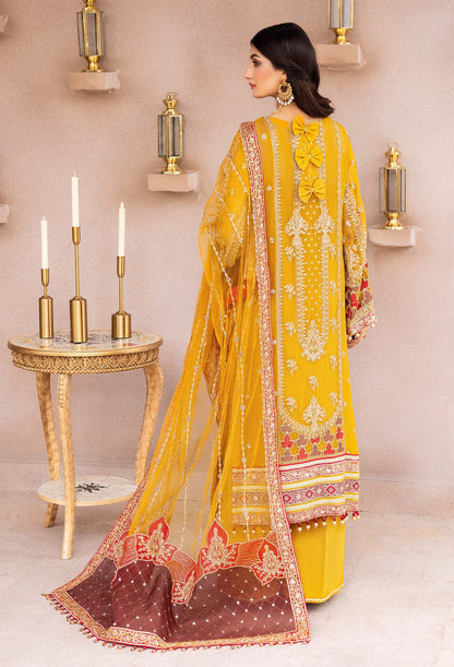 Adan Libas Chiffon Fancy
