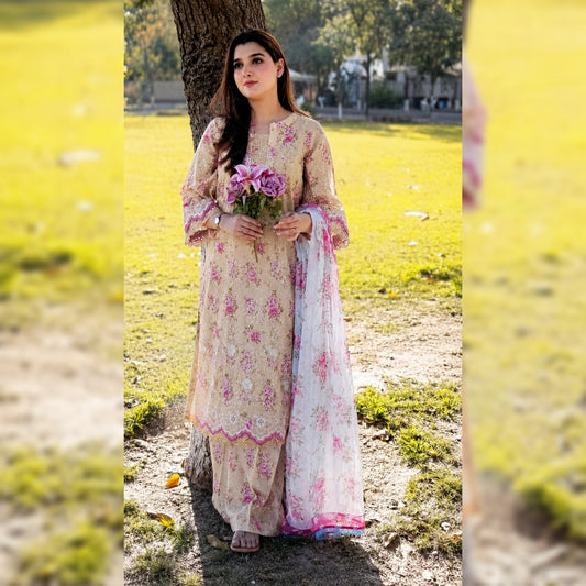Aneela's Lawn Fancy
