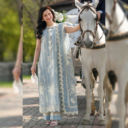 Rang Rasiya Lawn Fancy
