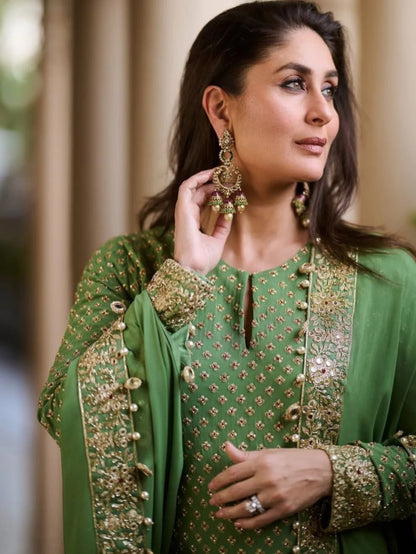 Kareena Chiffon Fancy