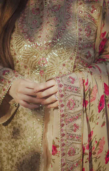 Aneela's Organza Fancy