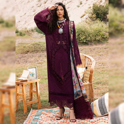 Bin Ilyas Lawn Fancy