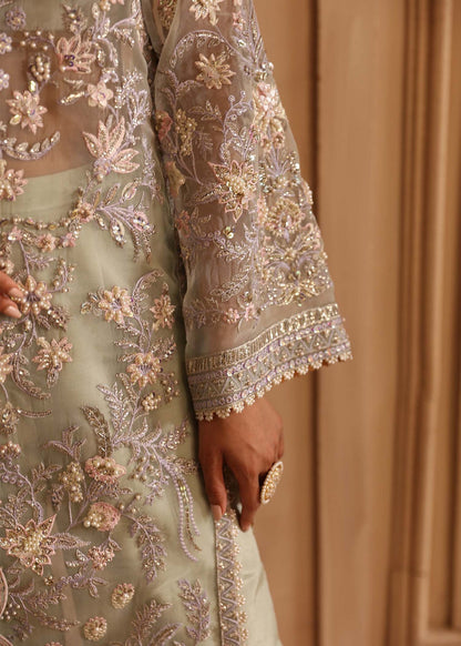 Akbar Aslam Organza Fancy