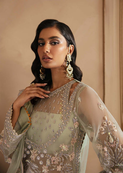 Akbar Aslam Organza Fancy